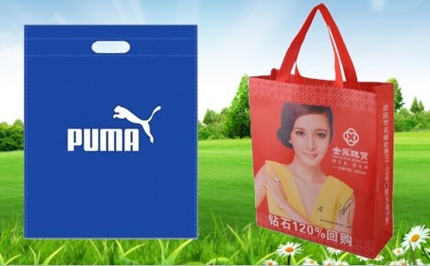 無(wú)紡布袋 無(wú)紡布袋