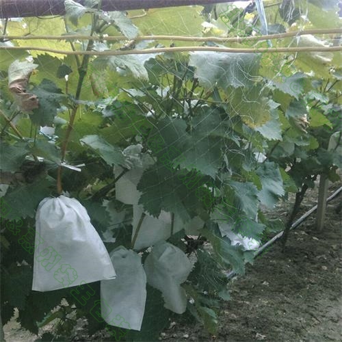 葡萄葡萄套袋套袋 葡萄葡萄套袋套袋