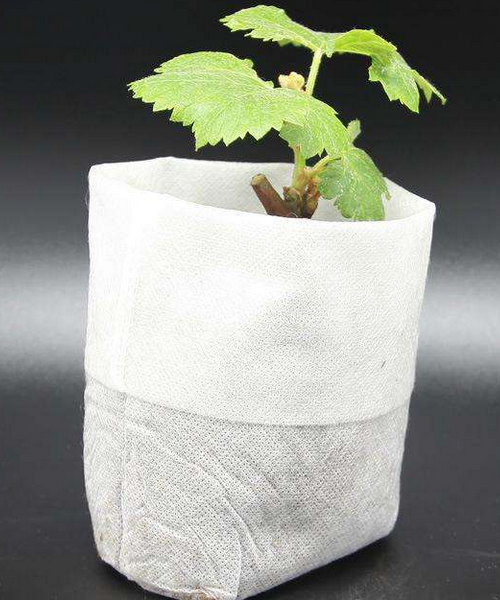 無(wú)紡布育苗袋